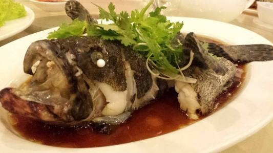 #6 hk steamed tiger garoupa