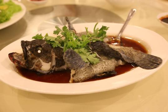 #6 hk steamed tiger garoupa