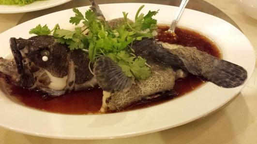 #6 hk steamed tiger garoupa