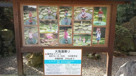 children on water lilies Umi-Jigoku Beppu