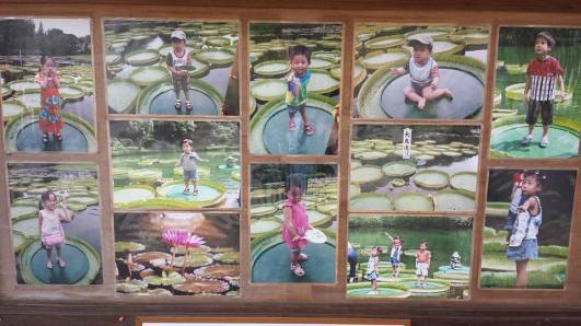 children on water lilies Umi-Jigoku Beppu