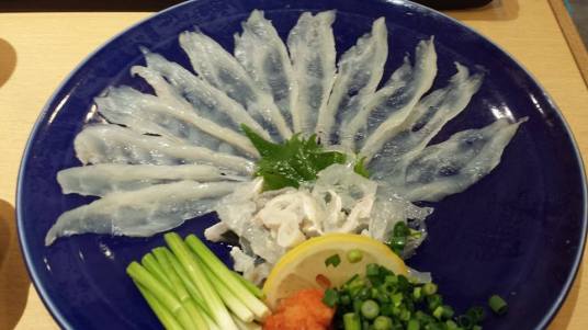 fugu sashimi