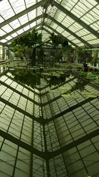 greenhouse - Umi-Jigoku Beppu16