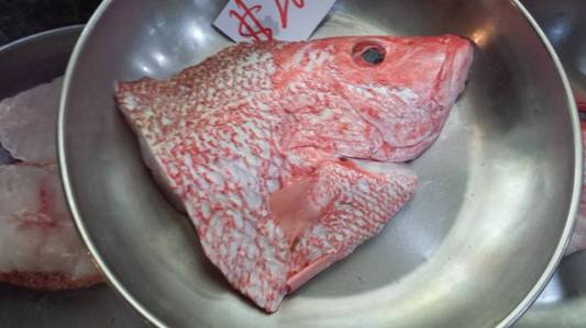 red snapper head