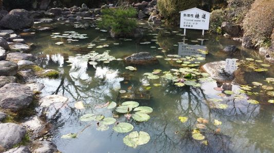 Umi-Jigoku Beppu hells valley