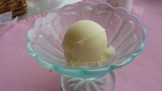 yuzu sorbet - lamp sha