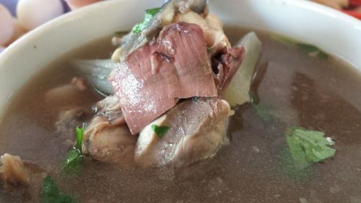 havelock turtle soup