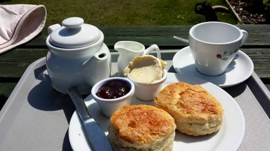 £5.25 cream tea porthgwarra cove cafe