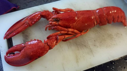 cold storage 2x375g frozen canadian cooked lobster=S$26.95