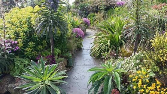 entrance to minack theatre