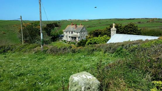 from road leading back to minack theatre