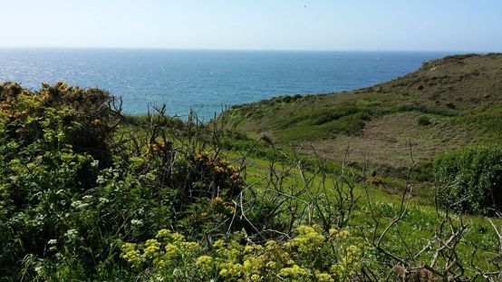 from road leading back to minack theatre