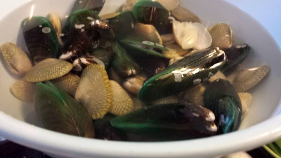 mussels & manila clams
