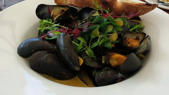 mussels