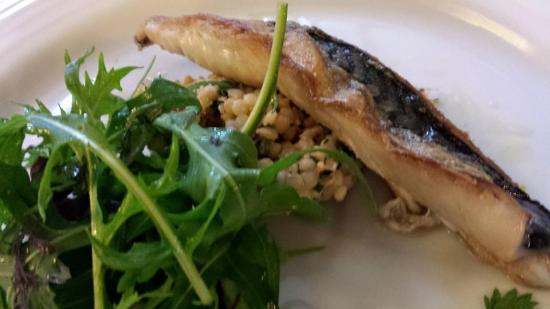 pan-fried mackerel with crab cous cous