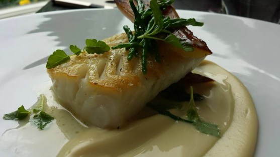 pollack - cod like flaky texture