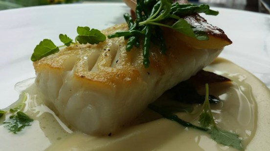 pollack - cod like flaky texture