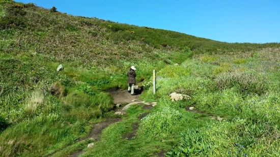porthcurno hike