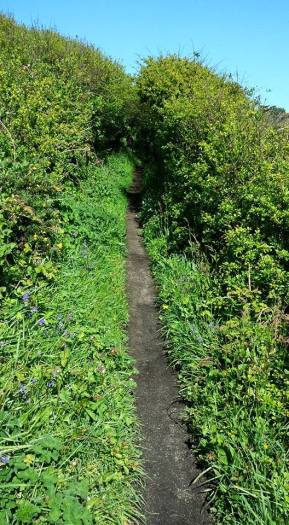 porthcurno hike