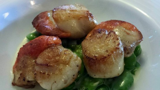 sacllops & broadbeans