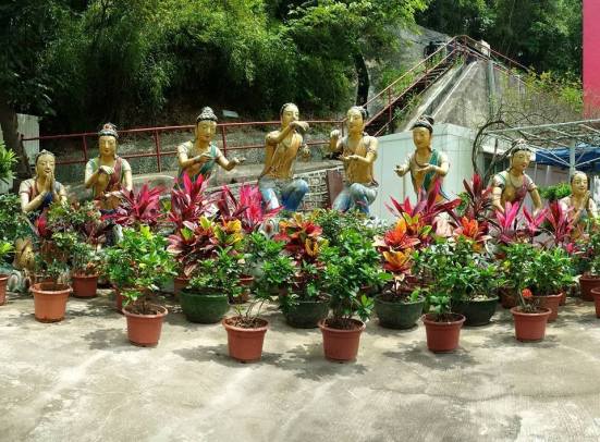 10000 budhhas monastery man fat sze 万佛寺