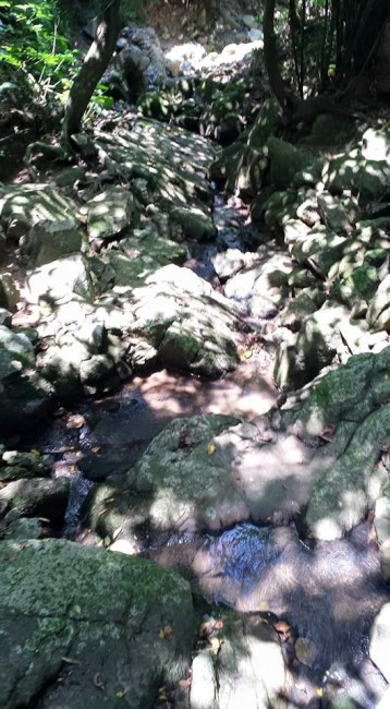 brook at kwun yam temple 观音古庙