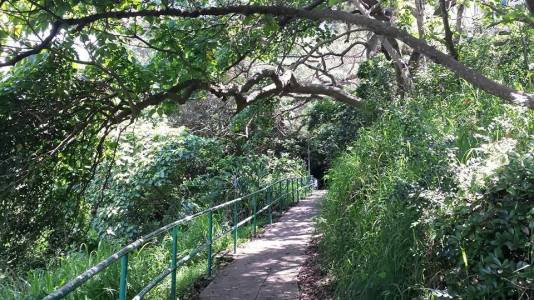 coming up from kwun yam wan beach