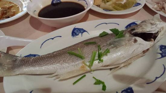 ngor soon fish-baby treadfin