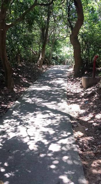 path going downto suk ku wan