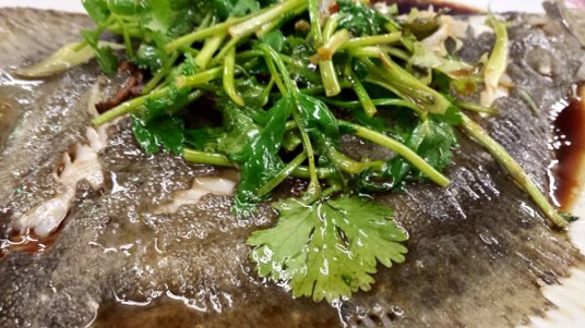 steamed turbot with 陈皮