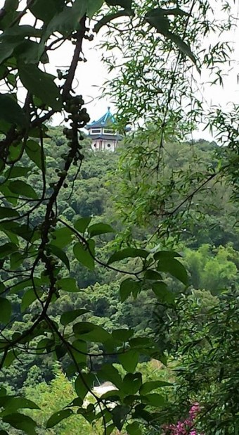 view from 10000 budhhas monastery man fat sze 万佛寺