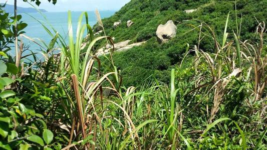 view from mini greatwall trail