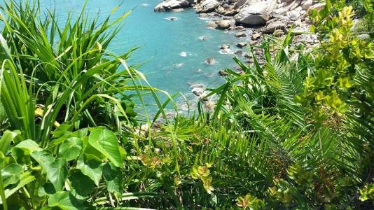 view from mini greatwall trail