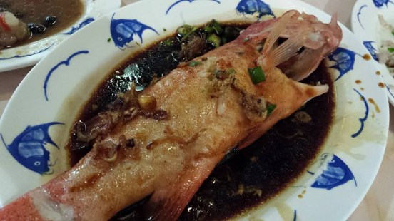 steamed red garoupa