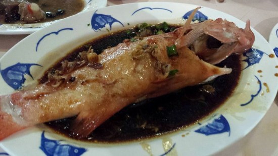 steamed red garoupa