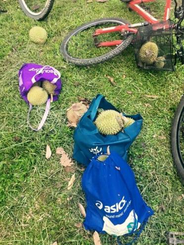 too many durians but few good ones