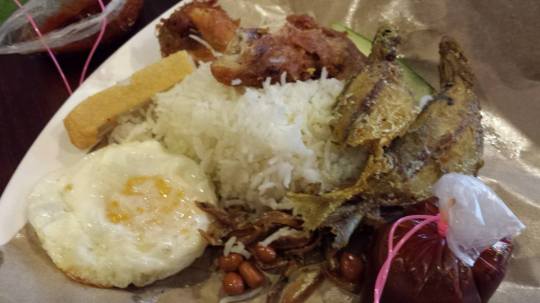 Adam's nasi lemak fish+chicken S$4.50