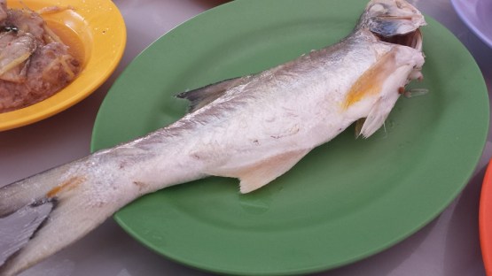 ngoh soon (the little treadfin)