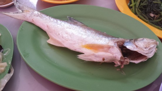 ngoh soon (the little treadfin)