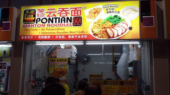 pontain wanton noodles