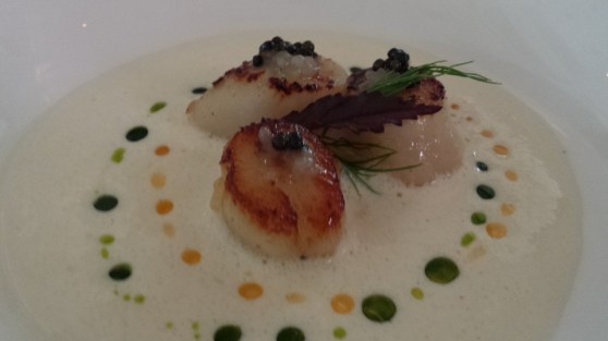 seared bay scallops