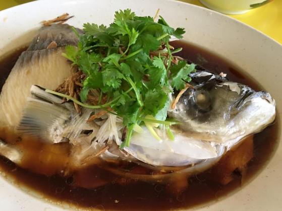 song fish head hk steamed 港蒸松鱼头