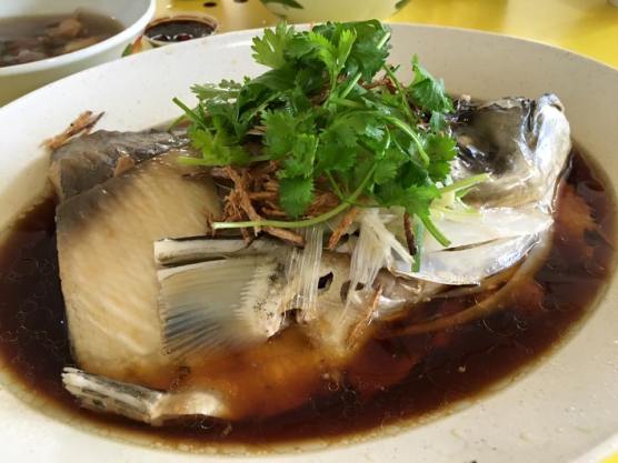 song fish head hk steamed 港蒸松鱼头