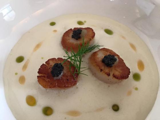 seared bay scallops. white choc veloute