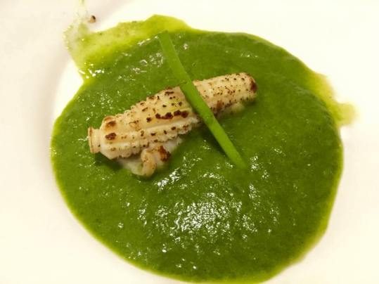 flamed squid in spinach veloute
