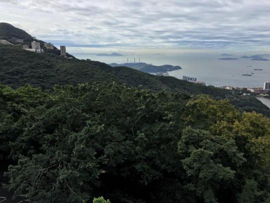 view from peak tgalleria rooftop