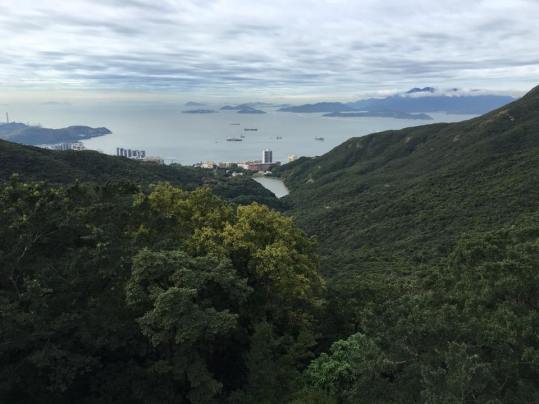 view from peak tgalleria rooftop