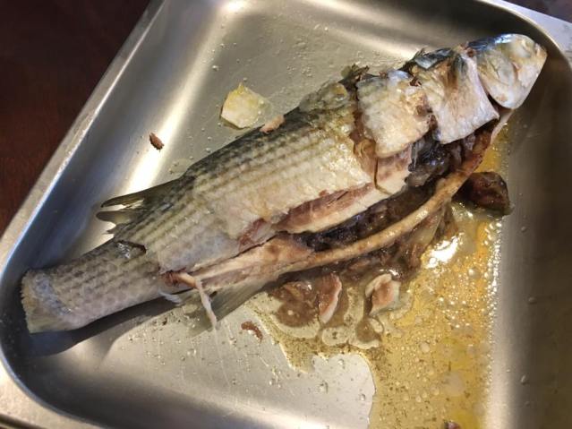 chilled mullet 16.3.2016