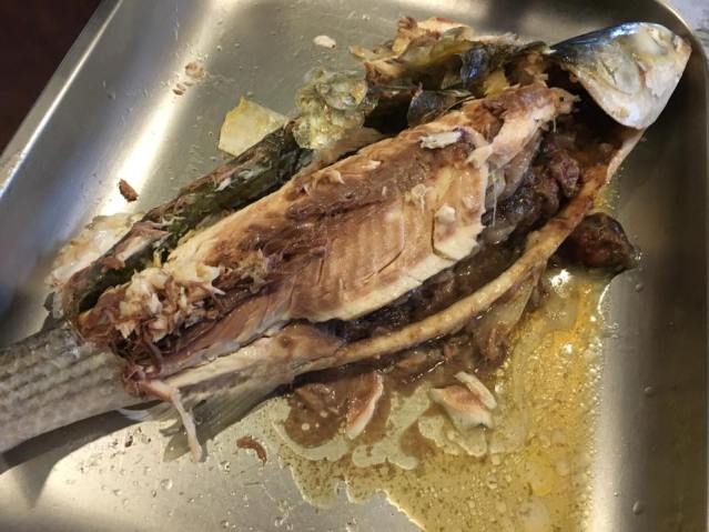 chilled mullet2 16.3.2016