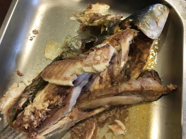 chilled mullet3 16.3.2016